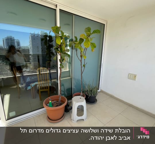 עציצים על מרפסת עם דלת זכוכית
